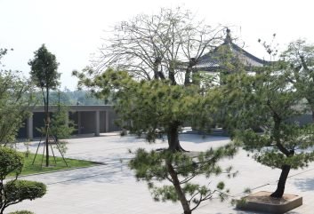 207A2343